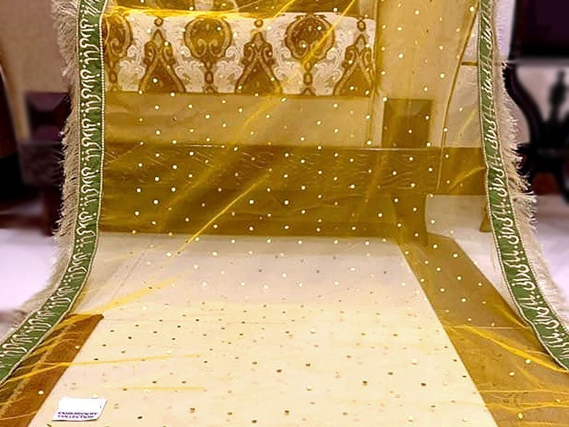 Qabool hai/Shadi Mubarak/Nikkah Mubarak Baba Rani High Quality Embroidered Traditional Party Wedding Marriage Dupatta