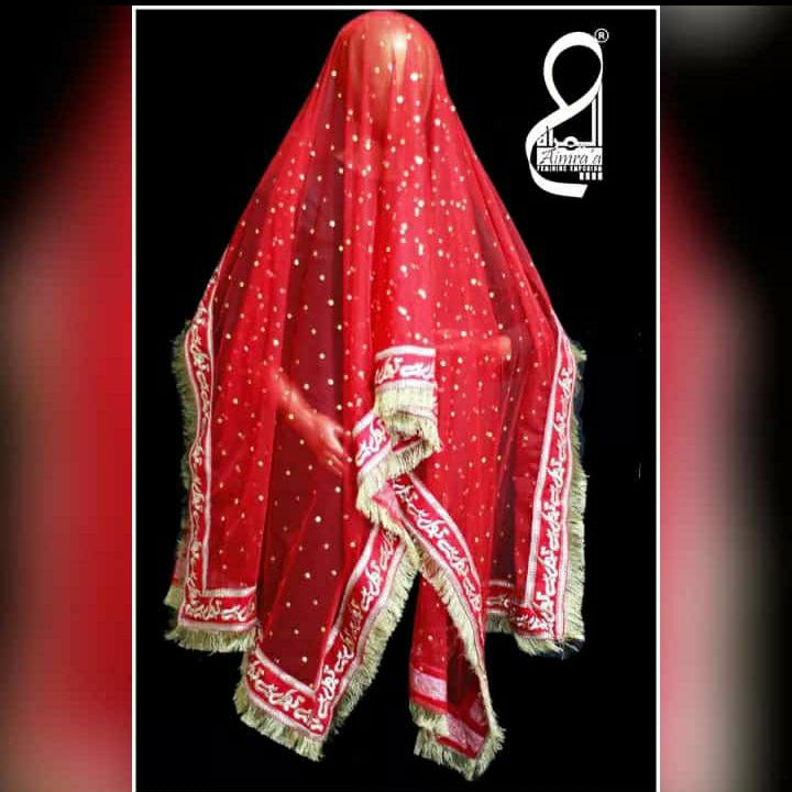 Qabool hai/Shadi Mubarak/Nikkah Mubarak Baba Rani High Quality Embroidered Traditional Party Wedding Marriage Dupatta